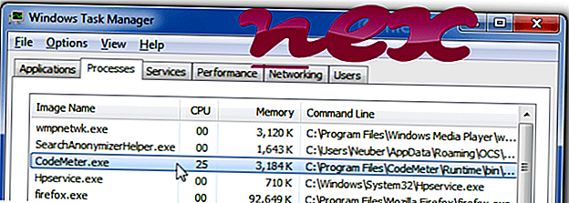 wibu systems ag codemeter runtime server